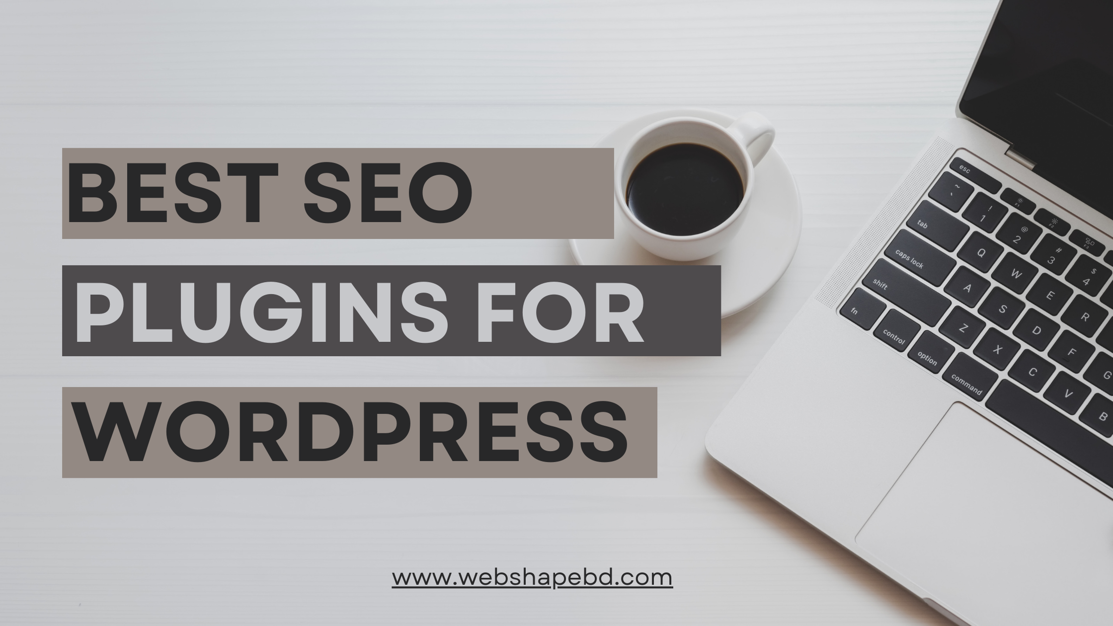 Best SEO Plugins for WordPress to Skyrocket Your Website’s Rankings