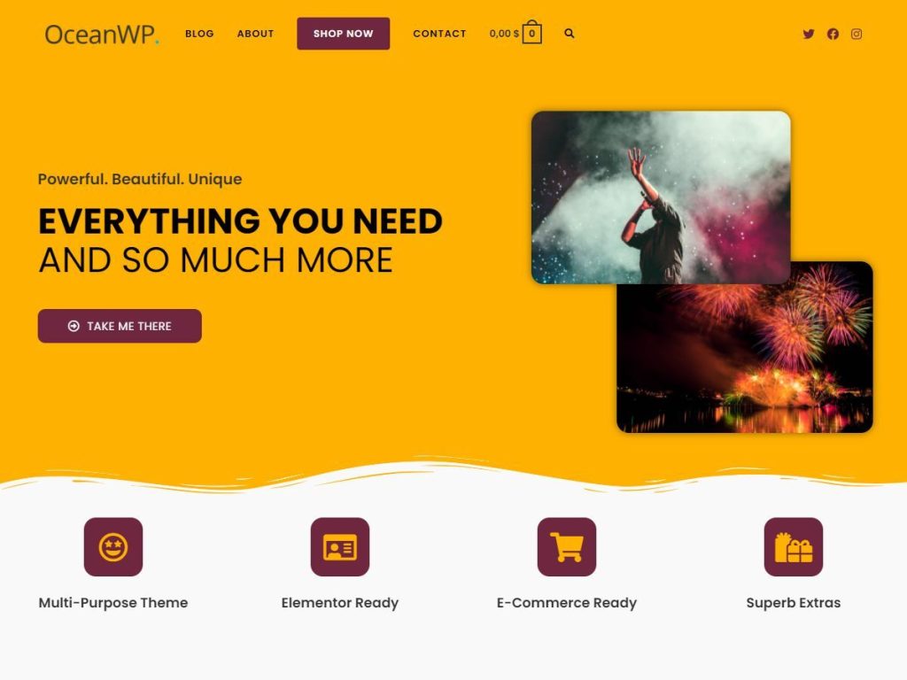 Best WordPress Themes for E-commerce Websites